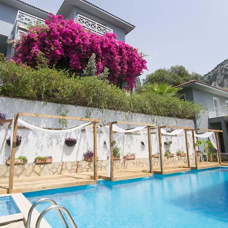 Gocek Garden Biberiye *